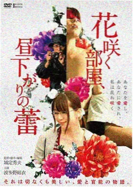 孤岛信号 韩国悬疑剧中文字幕